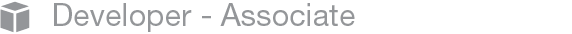 Developer Associate